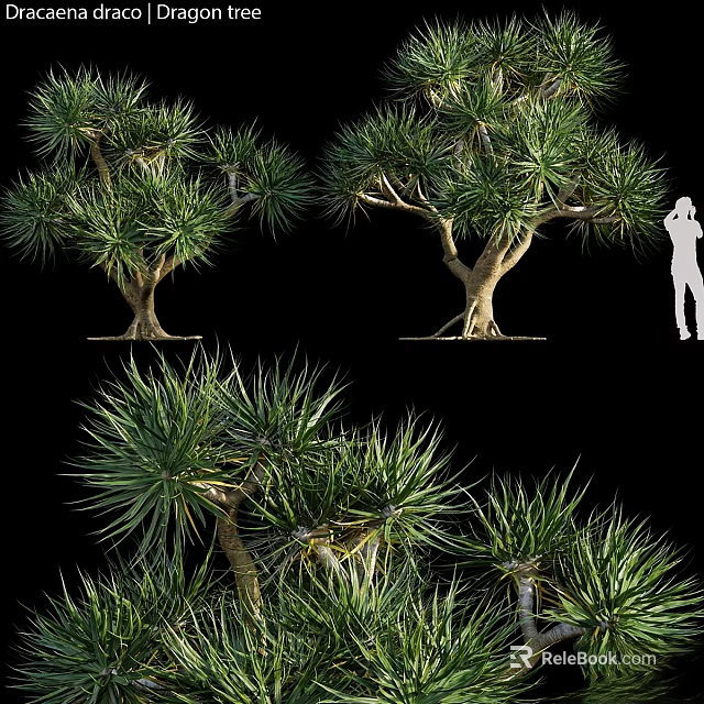 Decorative Tree Ornament Set With Various Styles And Green Foliage For Home Decor 3d model 