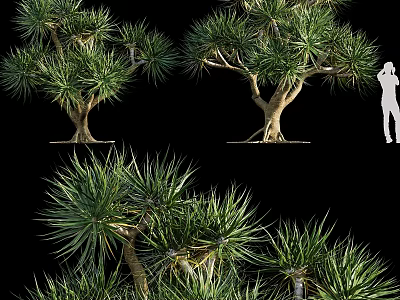 Decorative Tree Ornament Set With Various Styles And Green Foliage For Home Decor 3d model