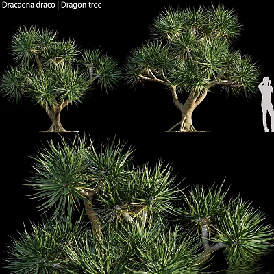 Decorative Tree Ornament Set With Various Styles And Green Foliage For Home Decor 3d model