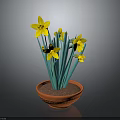 Yellow Daffodil Plant With Green Leaves In Orange Terracotta Pot On Gray Background