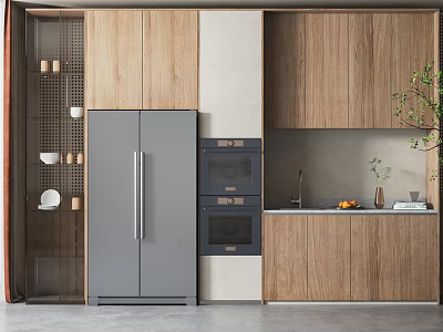 Modern Kitchen Sideboard With Wooden Cabinets Gray Refrigerator Oven Sink And Green Plant 3d model