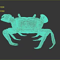 Crab With Detailed Orange Brown Shell Large Claws On Dark Surface
