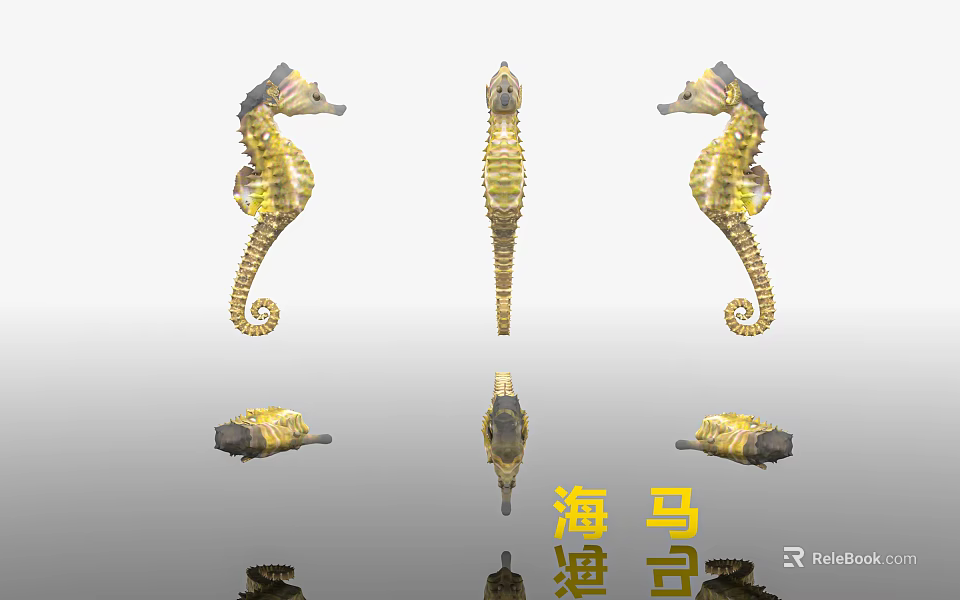 Golden Yellow Seahorses Aquatic Animals Display In Various Angles And Detailed Design 3d model 