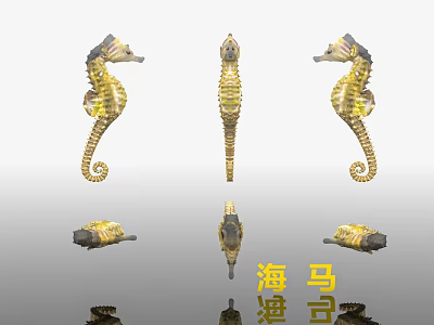 Golden Yellow Seahorses Aquatic Animals Display In Various Angles And Detailed Design 3d model