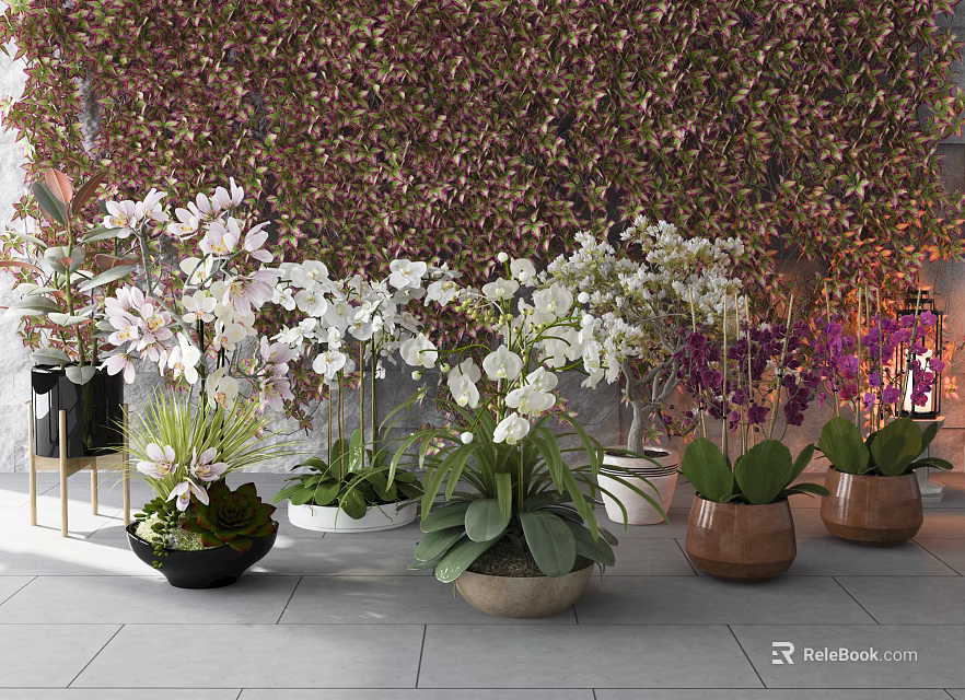 Potted Bonsai Plants With White Pink Orchids Green Foliage Ceramic Pots Against Lush Plant Wall 3d model 
