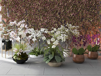 Potted Bonsai Plants With White Pink Orchids Green Foliage Ceramic Pots Against Lush Plant Wall 3d model