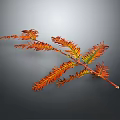 Autumn Branch With Orange And Red Leaves Showing Gradient Colors On Gray Background