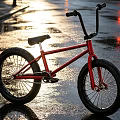 Shiny Red BMX Bike Parked On Wet Urban Road With Sunlight Reflections After Rain