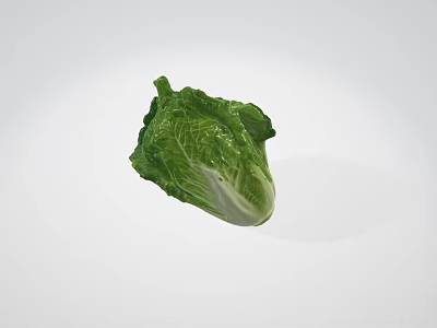 Fresh Green Leafy Lettuce Healthy Organic Vegetable Perfect For Salads And Meals 3d model