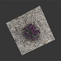Purple Flowers Growing In Gravel With Green Leaves And Small Stones
