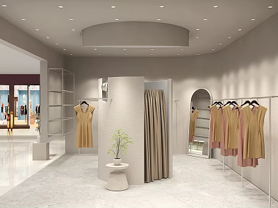 Modern Clothing Store Interior With Clothes Racks Mirror And Decorative Plant 3d model