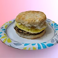 Delicious Chicken Biscuit Sandwich on Colorful Paper Plate with Egg Layer