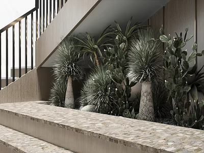 Indoor Landscape Under Staircase With Various Cacti Succulents Stone Steps And Black Railings 3d model