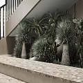 Indoor Landscape Under Staircase With Various Cacti Succulents Stone Steps And Black Railings