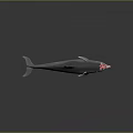 Realistic 3D Dolphin Model With Sleek Gray Body And Anatomical Details Against Gradient Background
