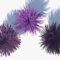 Purple Shrub Like Plants With Green Stems Grouped Together In Cluster