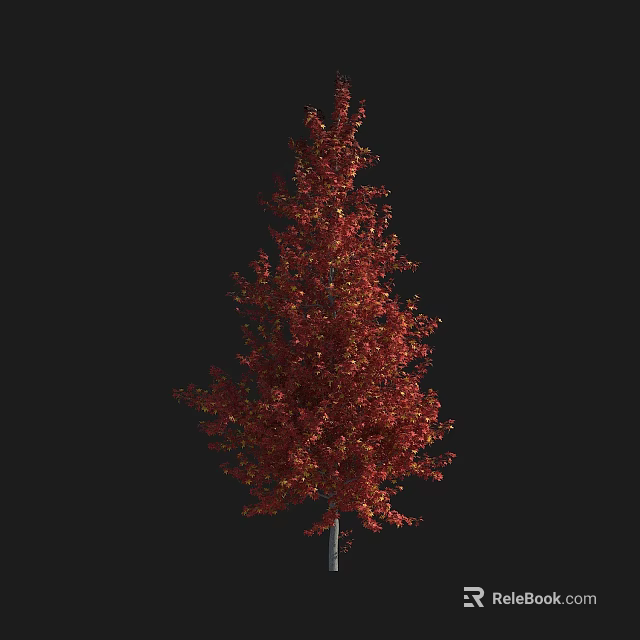 Tall Red Foliage Arbor with Elegant Canopy and Dark Background 3d model 