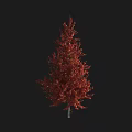 Tall Red Foliage Arbor with Elegant Canopy and Dark Background