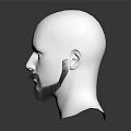 Men's Stylish Beard Design Featuring Goatee And Mustache On White Head Model