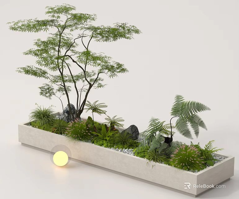 Indoor Mini Garden Setup With Rectangular White Container Tree Ferns Stones Pebbles And Round Light 3d model