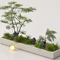 Indoor Mini Garden Setup With Rectangular White Container Tree Ferns Stones Pebbles And Round Light 3d model