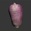Fresh Purple Radish With White Stripes And Green Root On Black Background