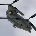 Military Green Twin Rotor Helicopter Flying With Extended Landing Gear And Insignia