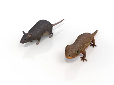 Dark Colored Mouse And Brown Lizard With Green Eyes On White Background 3d model