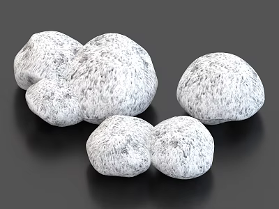 Group Of White Mushrooms With Textured Surface On Black Background 3d model