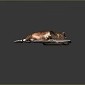 Orange and white cat lying relaxed sleeping comfortably on newspaper sheet 3d model