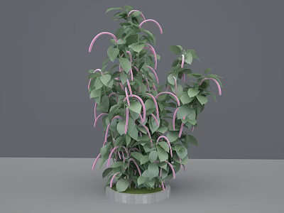 Green Leafy Potted Plant With Pink Curved Stems On Transparent Base 3d model
