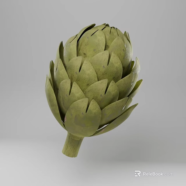 Fresh Green Artichoke Vegetable Close Up View With Detailed Leaves And Stem 3d model 