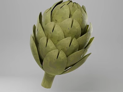 Fresh Green Artichoke Vegetable Close Up View With Detailed Leaves And Stem 3d model