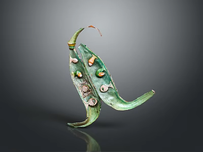 Green Edible Pod With Colorful Fresh Beans As Natural Food Display Item 3d model