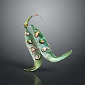 Green Edible Pod With Colorful Fresh Beans As Natural Food Display Item