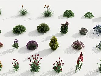 modern plants 3d model