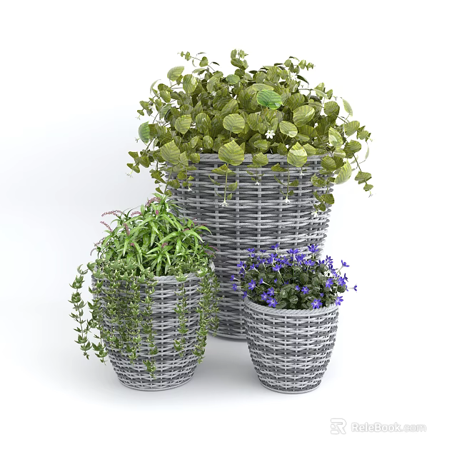 Potted Bonsai Plants in Woven Pots Featuring Green Leaves Purple Flowers and Trailing Vines 3d model 