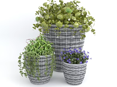 Potted Bonsai Plants in Woven Pots Featuring Green Leaves Purple Flowers and Trailing Vines 3d model