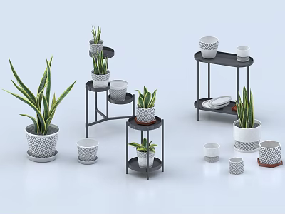 Various Bonsai Potted Plants With Multi Tiered Stands And Decorative Pots 3d model