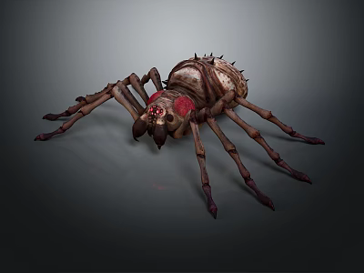 Realistic Giant Spider With Spiky Back Red Markings And Long Legs 3d model