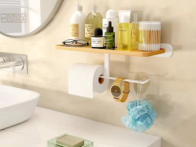 Wall Mounted Bathroom Shelf with Toiletries Tissue Holder and Bath Sponge 3d model