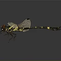 Flying Dragonfly With Red Eyes Black And Yellow Stripes And Transparent Wings