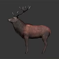 Red Reptile With Antler Like Horns In 3D Render Gray Background