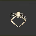 Unique Crab Shaped Golden Jewelry Piece With Detailed Claws And Elegant Design