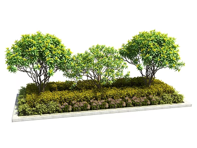 Bushes With Yellow Leaves Surrounded By Low Green And Purple Plants In Rectangular Flower Bed 3d model