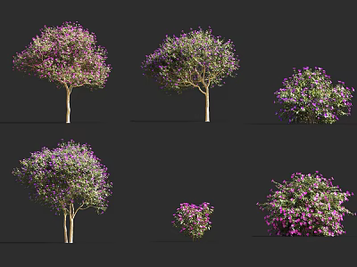 Various Shrubs with Purple Flowers in Different Sizes and Forms for Landscaping 3d model