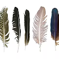 Decorative Ornament Set Featuring Assorted Colorful Feathers For Home Decor