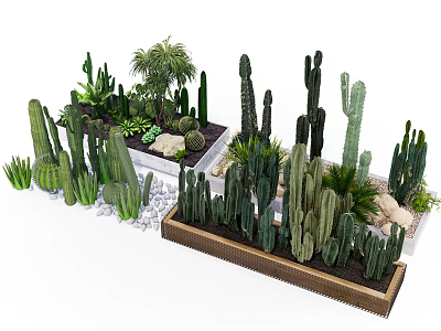 Assorted Cactus And Succulent Bonsai Plants In Decorative Pots With Stones 3d model
