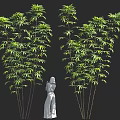 Green Trees With Slender Trunks Lush Leaves And White Human Statue
