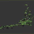 Modern vine branch wood branch dead branch 3d model